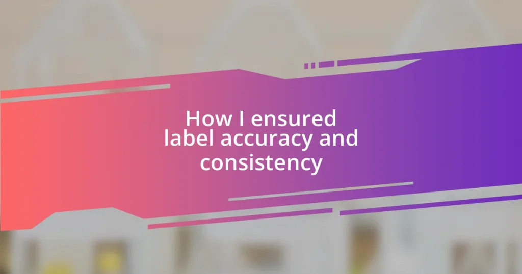 How I ensured label accuracy and consistency