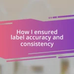 How I ensured label accuracy and consistency