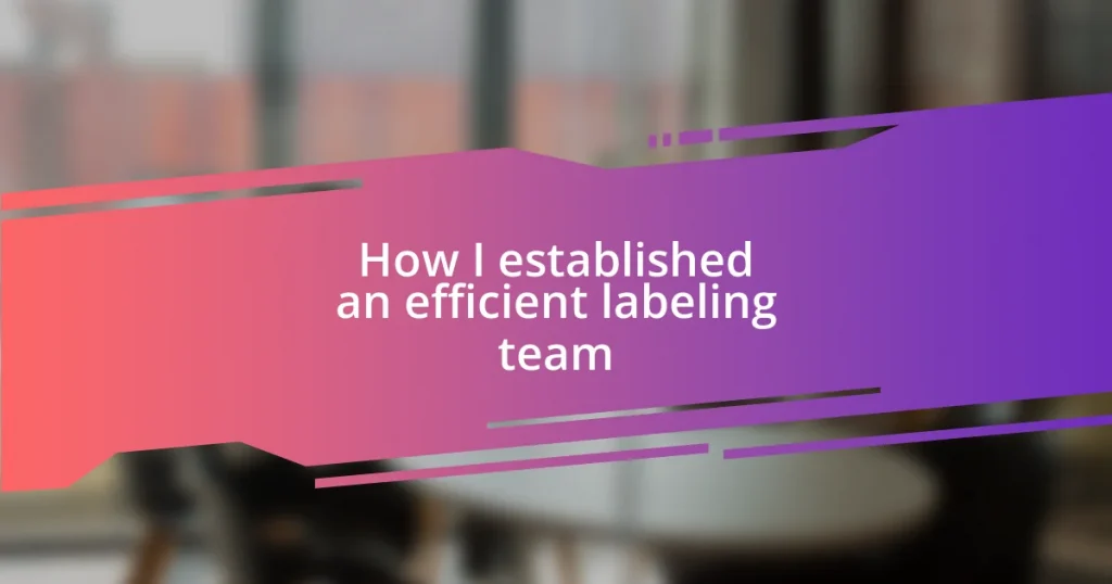 How I established an efficient labeling team